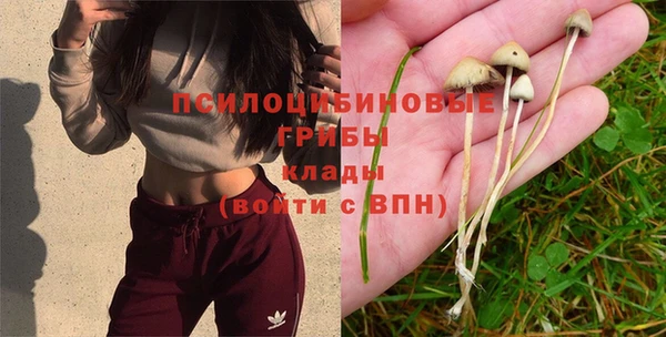 таблы Балахна