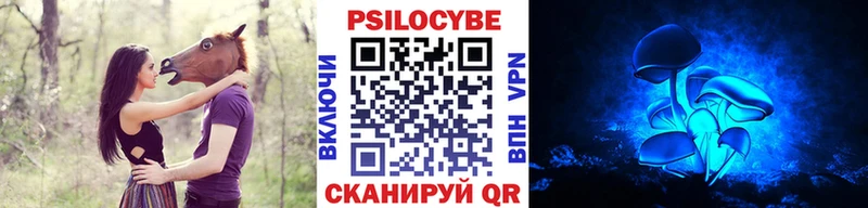 где купить   Гаврилов-Ям  Псилоцибиновые грибы мицелий 